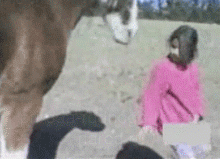 Лошадь ломает ребенку позвоночник