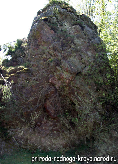 Живая скала (камень)